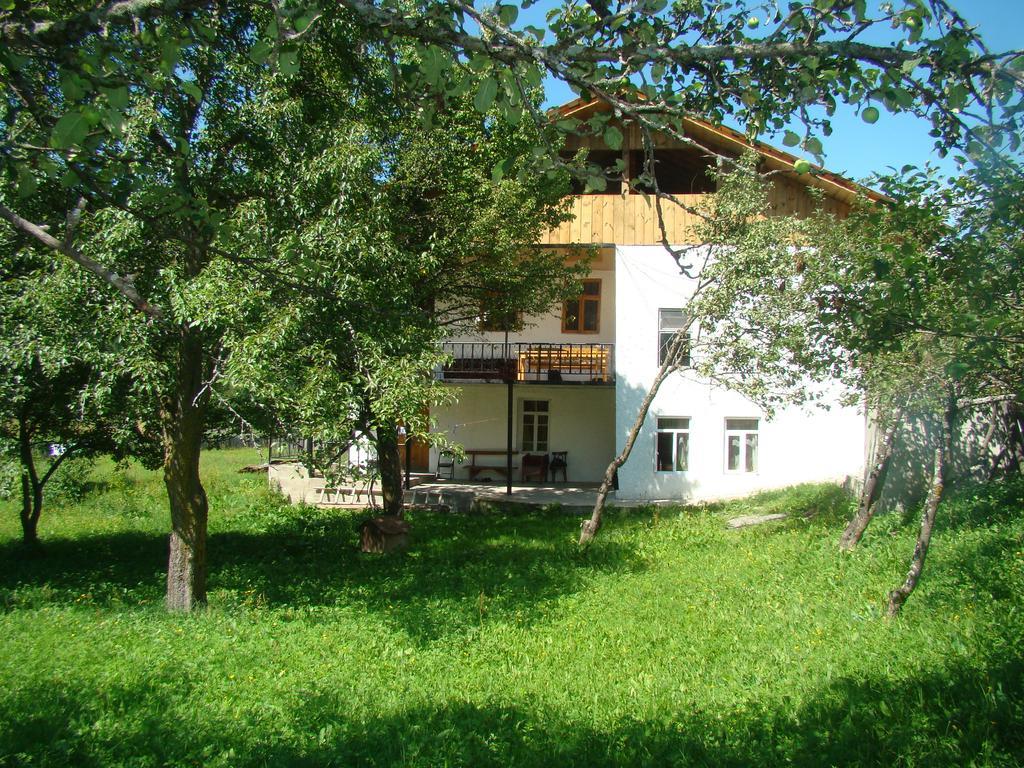 Guest House Tavaduri Mestia Exterior foto